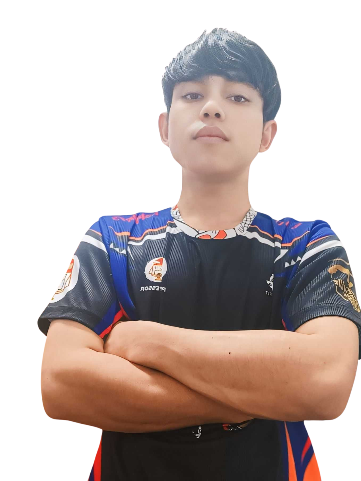 B4U PROFESSOR